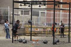 MILEXNATANAEL-327
